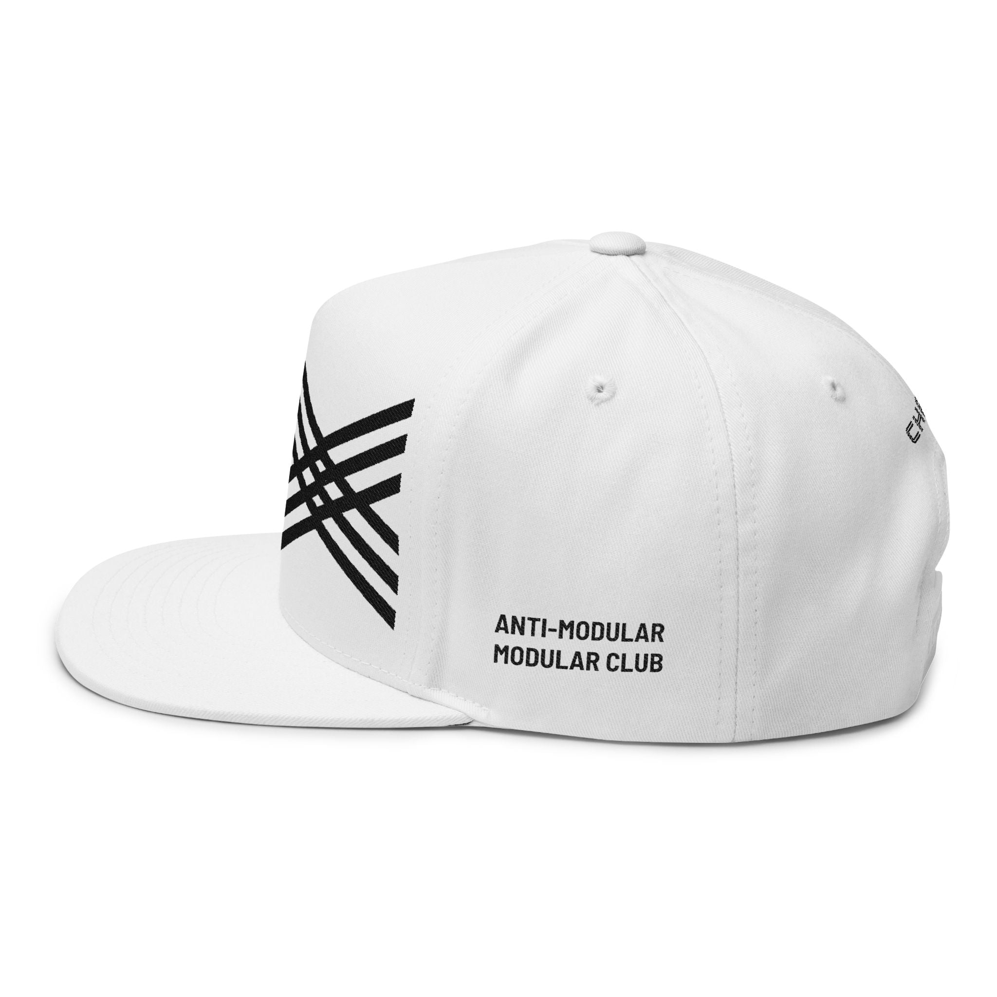 CHASSI VIBES Anti-Modular, Modular Club